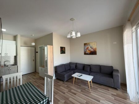 Apartment 1+1 for rent near the Red School.
