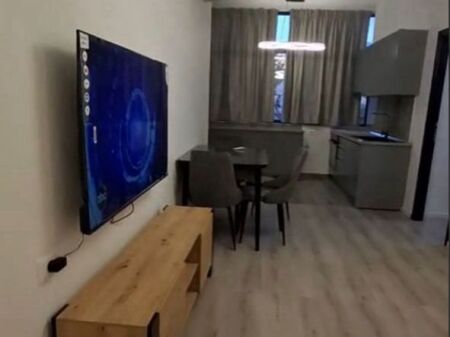 APARTMENT FOR RENT 1+1 ZOGU I BOULEVARD 650 EURO
