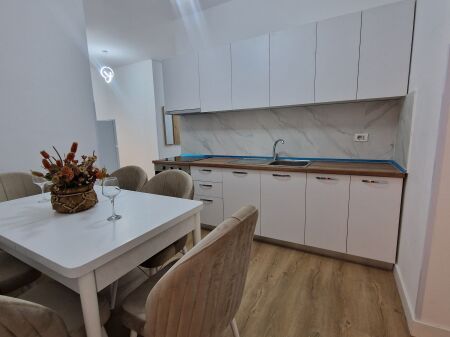 1+1 apartment unoccupied for rent in Myslym Shyr
