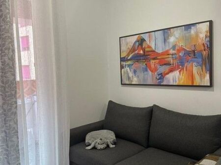 Apartment 1+1 For Rent in Ali Demi