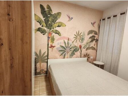 Apartment 1+1 for rent in Astir.
