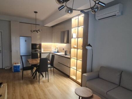 Jepet apartament me qira 1+1  Ali Demi