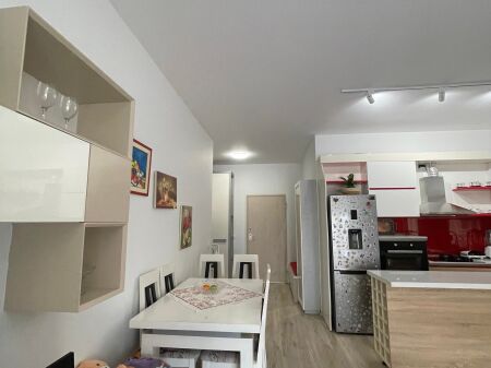1+1 apartment for rent near the zoo