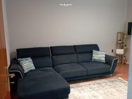 Apartment For Rent 1+1 Near Mine Peza (ID B211426) Tirana