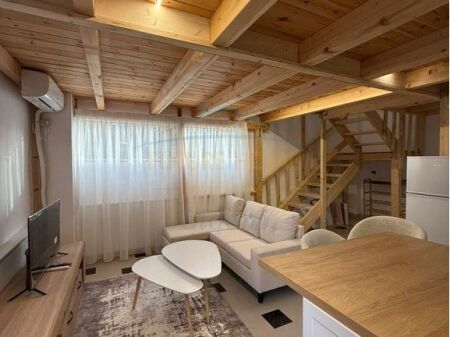 Rent, Duplex 1+1, Dibra Street, Tirana