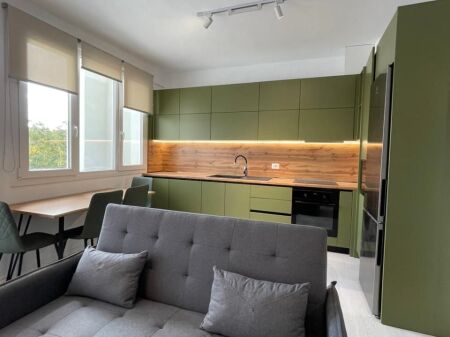  Apartment 2+1 for rent at River Residence