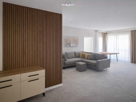 Apartment For Rent 1+1 At Dritan Hoxha ( ID B2101530) Tirane