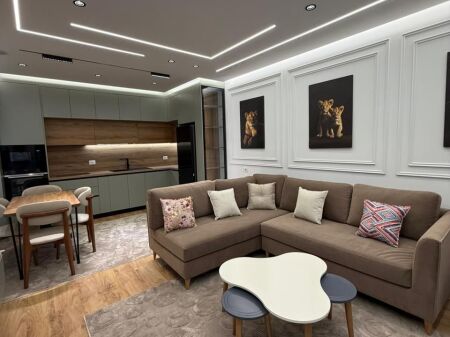 APARTMENT FOR RENT 1+1