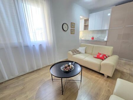 Apartment 1+1 For Rent near the Ballet School, Tirana 600 € /Month