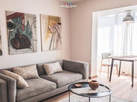 Apartment For Rent 1+1 At Fortuzi Street ( ID B211429) Tirana