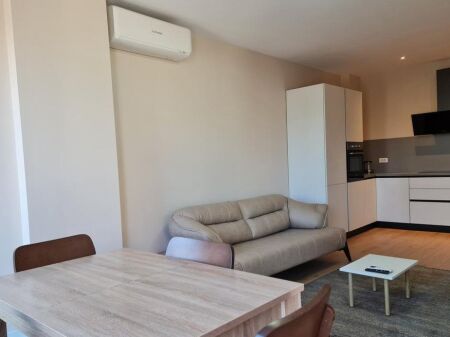 Apartament 1+1 Me Qira tek Zogu i zi,Foleja e Gjelber