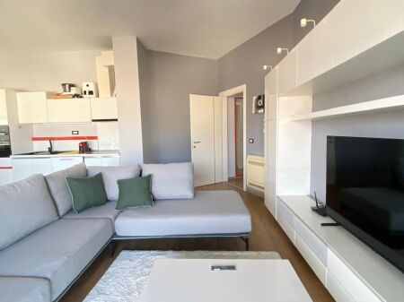 2+1 apartment for rent near the Botanical Garden!