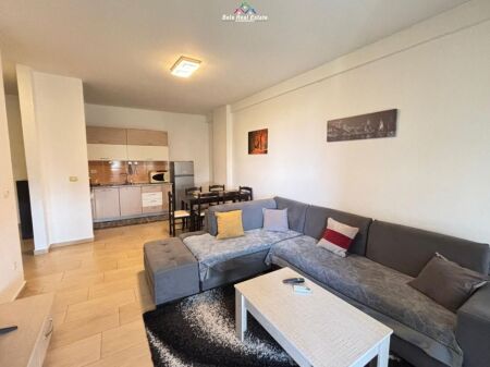 Appartamento In Affitto 1+1 Vicino Al Giardino Botanico (ID B2101548) Tirana
