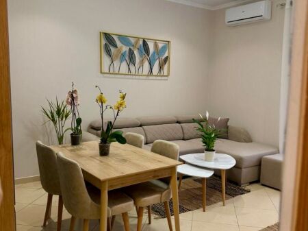 SUPER RENT Apartment 1+1  Near Delijorgji Complex  "Kavajes" Street 