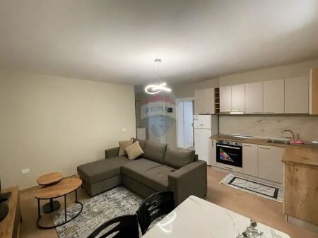 Apartament - Për Qira - Rruga Frederik Shiroka, Tiranë