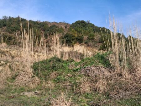 TERRENO IN VENDITA NEL GOLFO DI LALZ