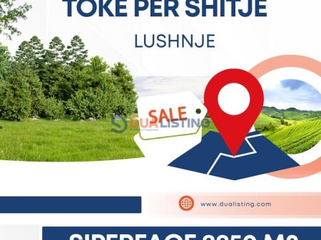 TERRENO IN VENDITA A LUSHNJE!