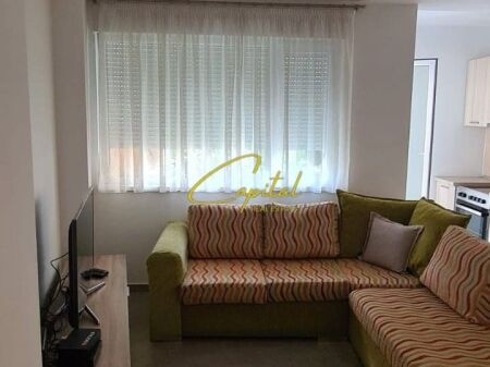 APARTAMENT ME QIRA 1+1 ISH PARKU 55.000 LEKE