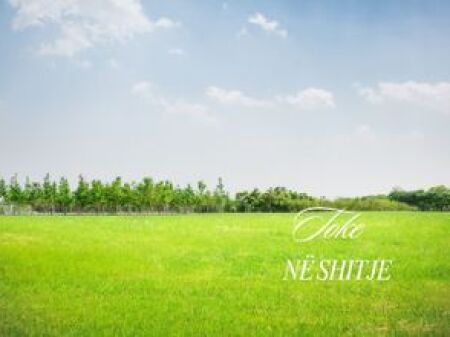 TERRENO IN VENDITA A FARKE 5750 M2