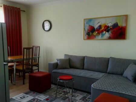 Ali Demi, jepet me qera apartament 1+1