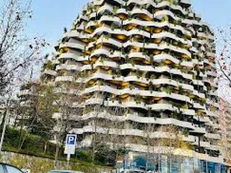 Lion Park 1 Apartment 2+1 for rent at, Elbasan Street