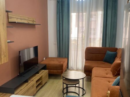 Apartmanet 1+1 me qira Ali Demi