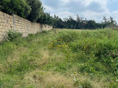 TERRENO IN VENDITA 600 M2 KASHAR 120.000 EURO
