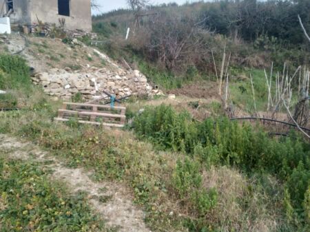 Titolo: Vendita Terreno 300 m² a Shelegar – Con Catasto