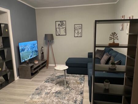 Apartament 1+1 me qera Rruga e Durresit ne Tirane