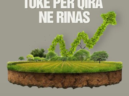Terreno in affitto, Rinas