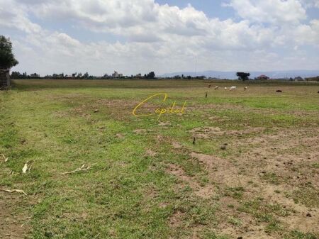 LAND FOR RENT 1,500 M2 MULLET 100,000 LEKE