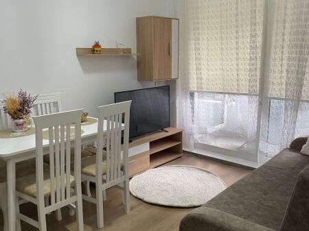 Apartament 1+1 me qera