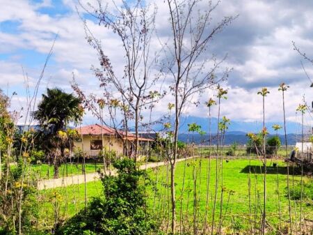 Terreno in vendita 1000 m² – Dimal, sulla strada nazionale Dimal–Kuçovë