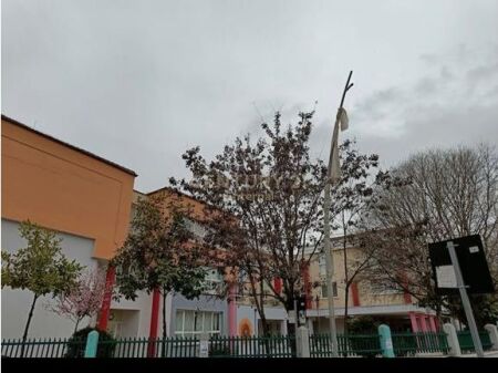 Shop for sale near Vasil Shanto