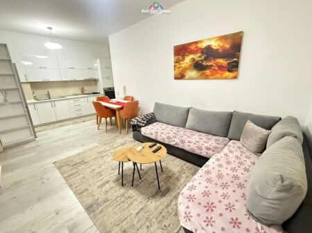 Apartament Me Qera 2+1 Tek Pazari i Ri (ID B2201117) Tirane.