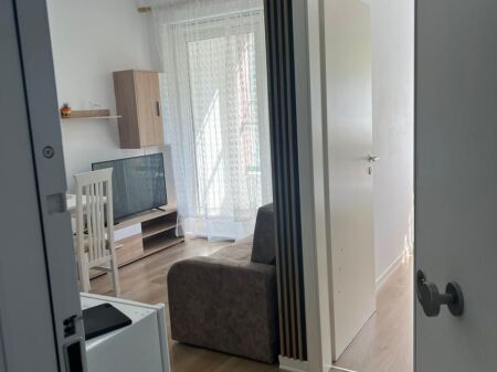 APARTMENT FOR RENT 1+1 IN ALI DEM