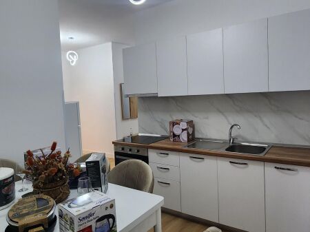 Apartment 1+1 for rent Myslym Shyri