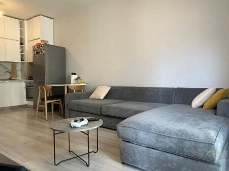 APARTMENT 1+1 WITH PARKING SPACE, KINOSTUDIO