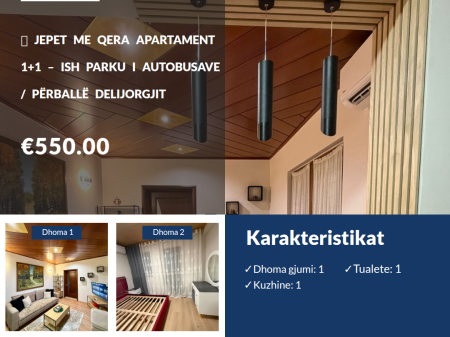 RENT 1+1 OPPOSITE DELIJORGJO