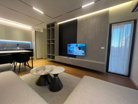 Apartment 1+1 for rent at Residenca Erli in Porcelan.