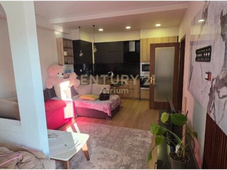 Apartment 1+1 for Rent in Porcelan, Building with Elevator