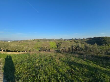 SUPER LAND OPPORTUNITY FOR SALE,  TREE OF LIFE,  SHKALLNUR