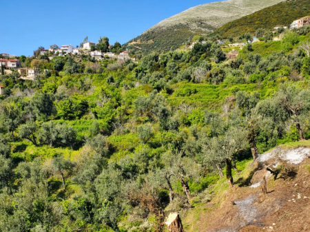 Terreno in Vendita – Lukovë, Sarandë