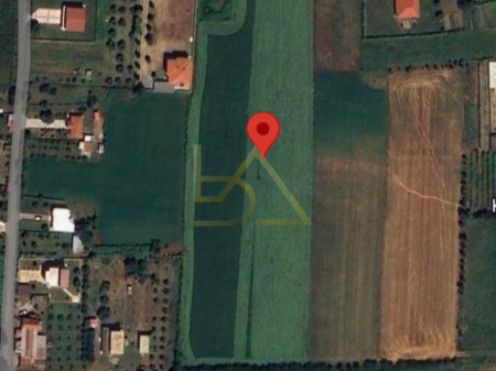 Land for Sale – Shënkoll, Lezhë