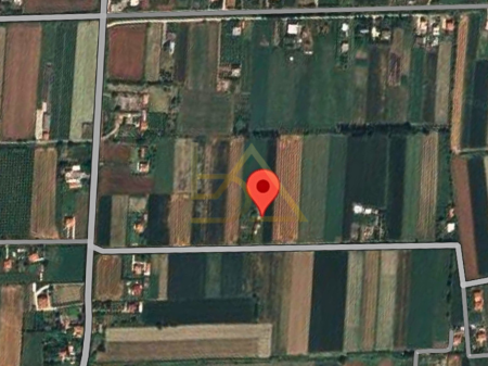 Land for Sale – Shënkoll, Lezhë