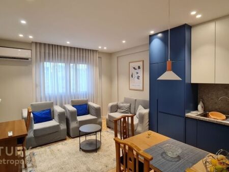 Apartment for rent 1+1 at the Paris Commune