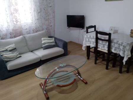 1+1 apartment for rent at the Ballet School