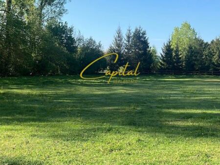 TERRENO IN VENDITA 1.400 M2 LAGO ASCIUTTO 360.000 EURO