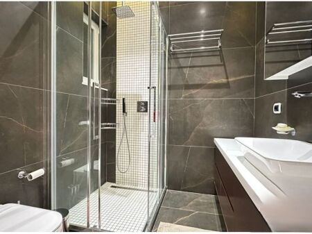 Apartment 1+1 for rent near the Botanical Garden close to the Mosque! 550 € /Month