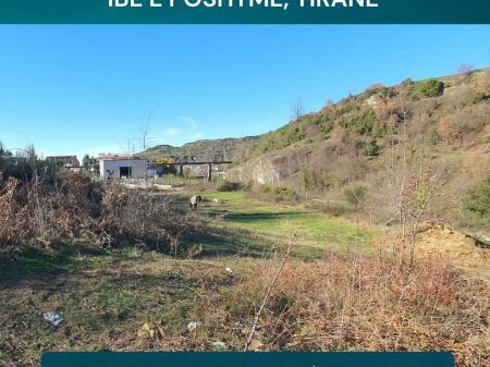 TOKE NE SHITJE, 604 M2, Ibë e Poshtme